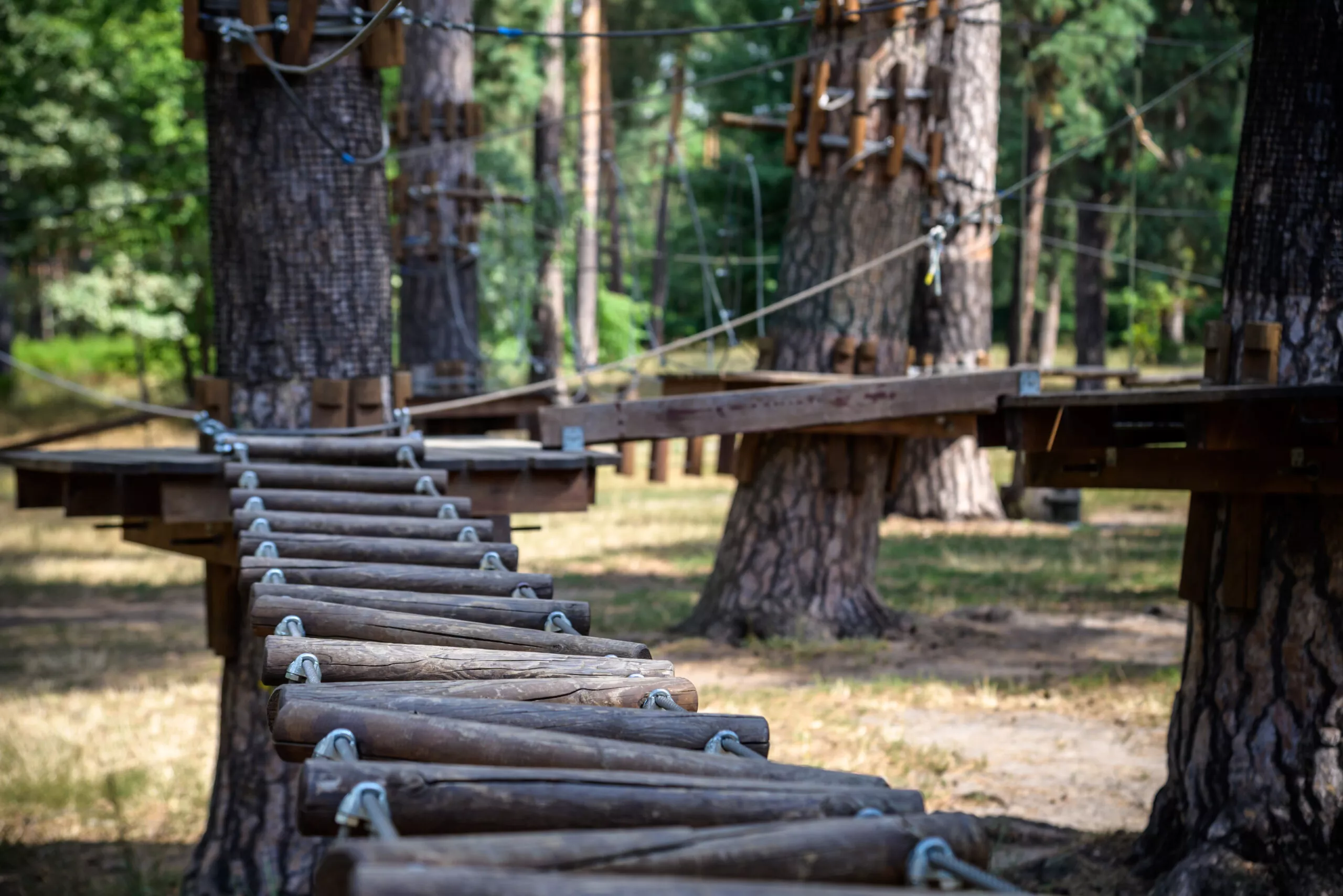 Parco avventura sugli alberi con esperienza di corde alte. Percorso stradale su corda tra gli alberi. Parco avventura di arrampicata su corda. Ponte di legno e attività ad alta fune