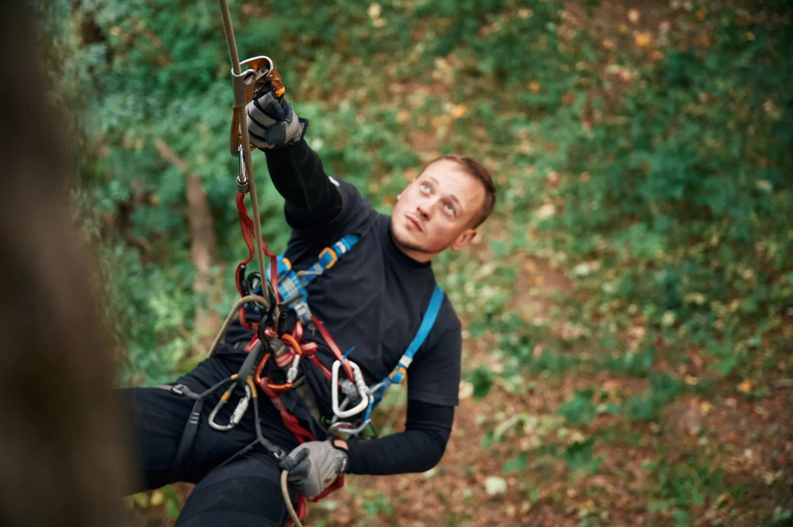 Sull'albero alto, appeso. L'uomo si arrampica nella foresta con l'ausilio di attrezzature di sicurezza.